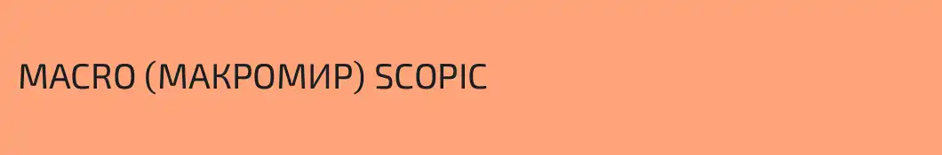 MACRO (МАКРОМИР) SCOPIC